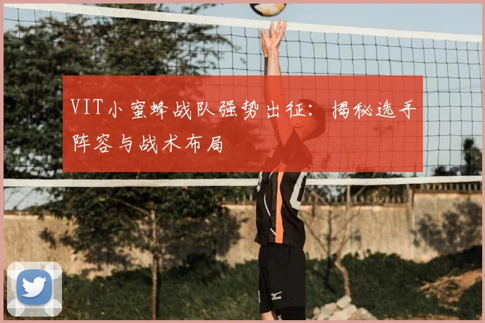 VIT小蜜蜂战队强势出征:揭秘选手阵容与战术布局