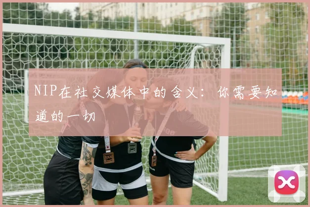 NIP在社交媒体中的含义：你需要知道的一切