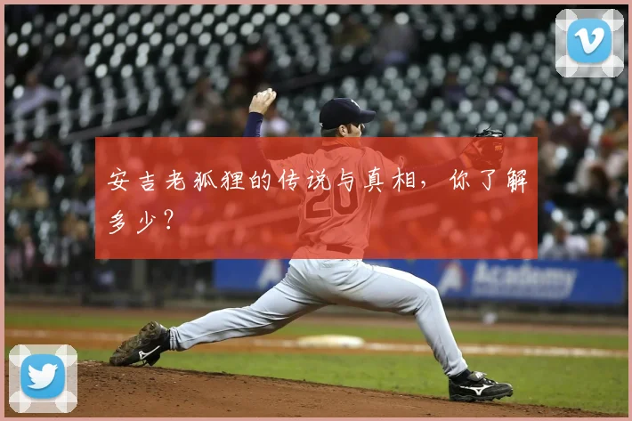 安吉老狐狸的传说与真相，你了解多少？