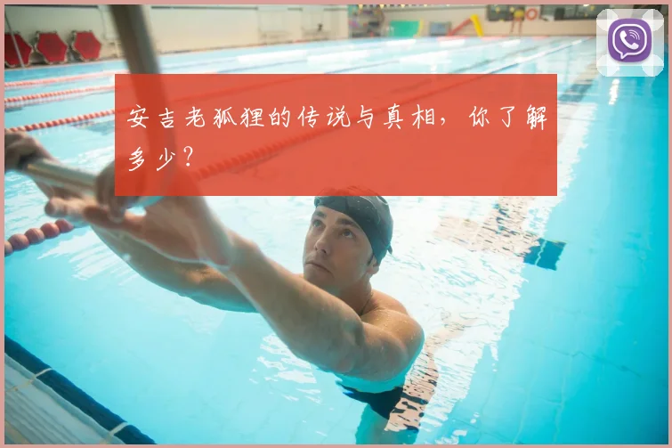安吉老狐狸的传说与真相，你了解多少？