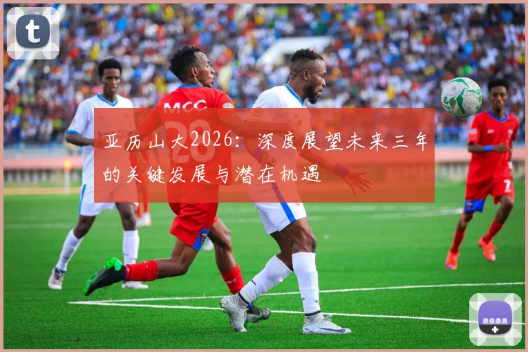 亚历山大2026：深度展望未来三年的关键发展与潜在机遇