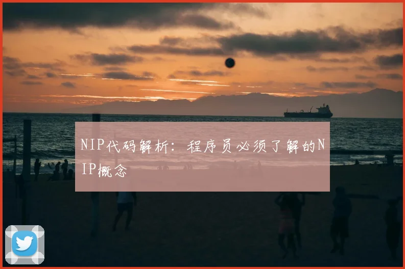 NIP代码解析：程序员必须了解的NIP概念