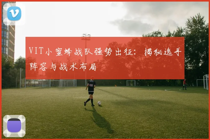 VIT小蜜蜂战队强势出征:揭秘选手阵容与战术布局