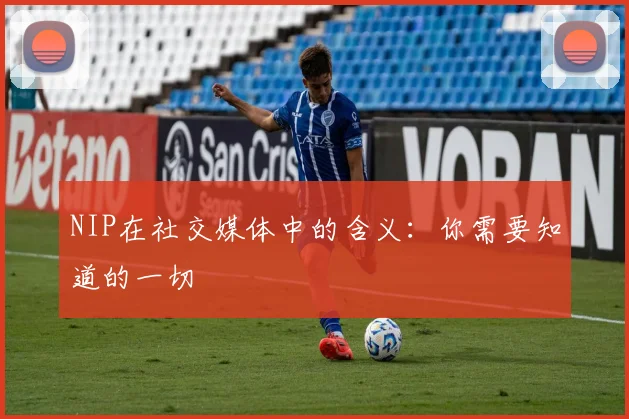 NIP在社交媒体中的含义：你需要知道的一切